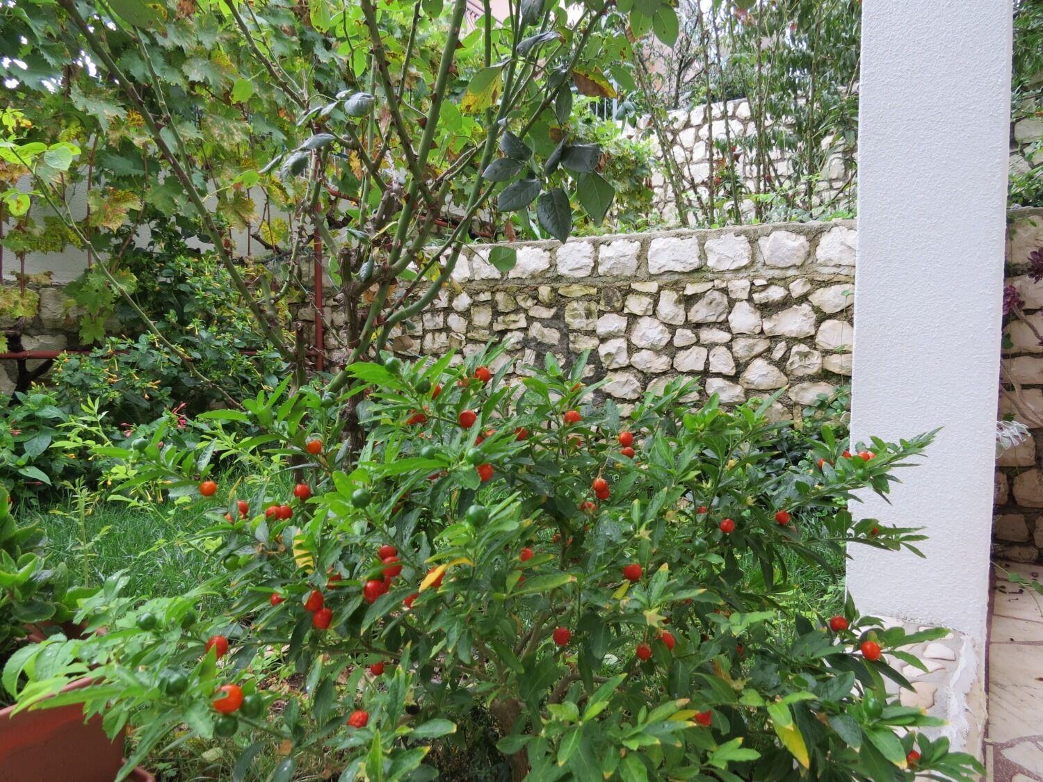 Apartment Bubi Trogir Ngoại thất bức ảnh